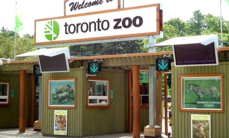 Top 10 der besten Zoos der Welt