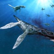 10 größten Dinosaurier, die der Wissenschaft bekannt sind