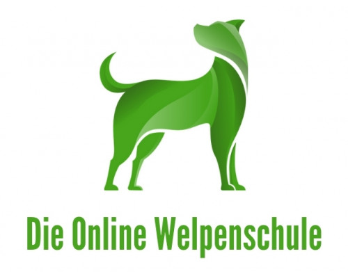 Welpenkurs Online Hundetraining